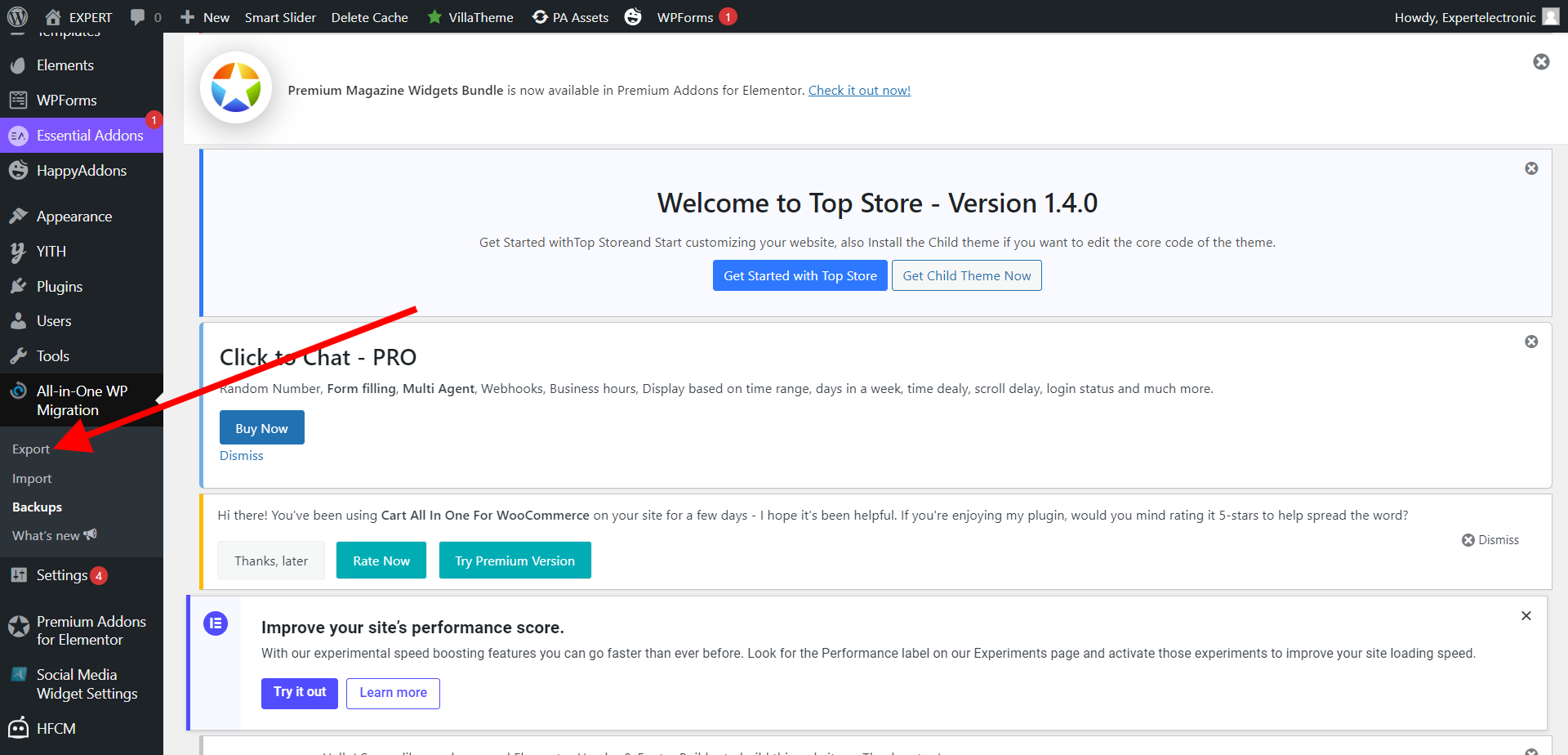 export website backup